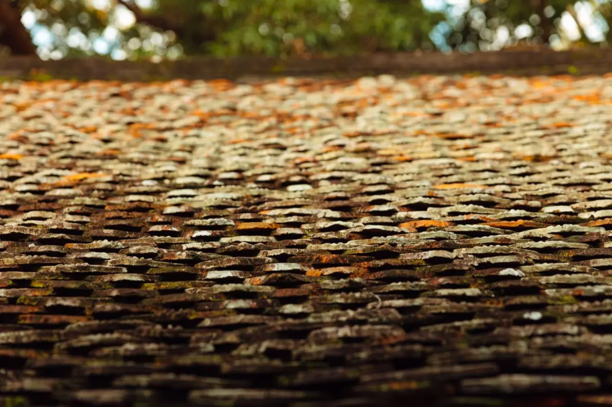 Roof Leak Repair & Ceiling Stain Diagnosis in Sugar Land, TX